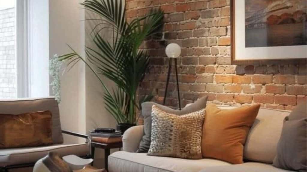 شركة تنظيف في أم القيوين