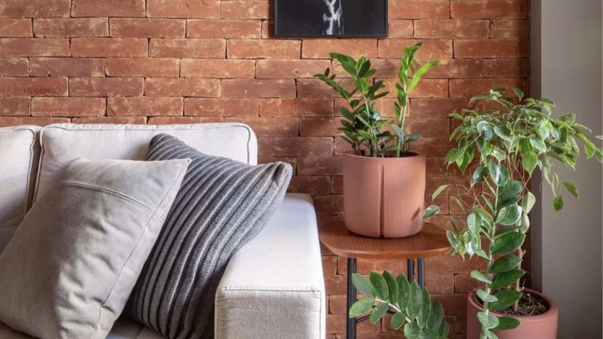 معدات تنظيف حديثة تستخدمها شركة تنظيف في دبا الفجيرة